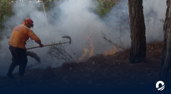 Incendio de vegetación en San Cristóbal fue controlado por acción inmediata de las autoridades