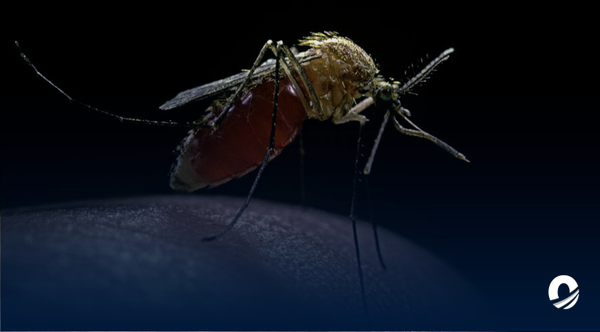 Ecuador registró más de 23.000 casos de dengue en lo que va de año