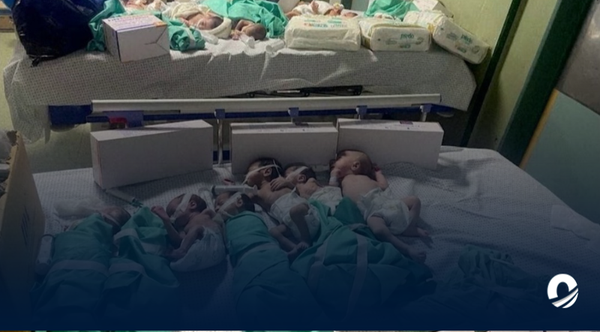Bebés prematuros de Al Shifa fueron trasladados a una UCI al sur de Gaza