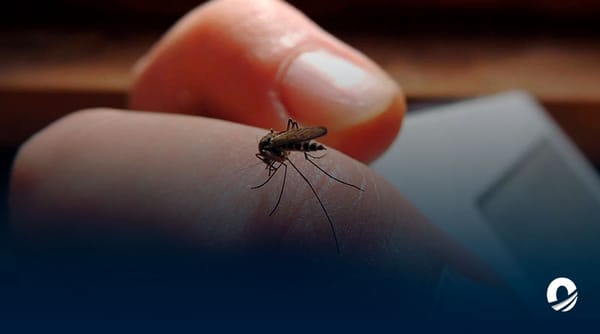 Repunte de dengue Venezuela