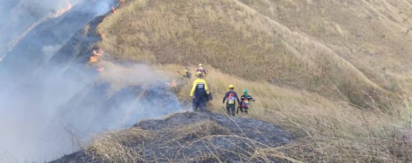 Parque Henri Pittier incendio