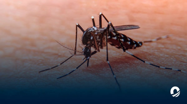Especialista advirtió aumento de enfermedades respiratorias y dengue en Venezuela