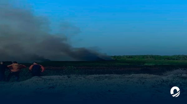 Incendio forestal Cumaná