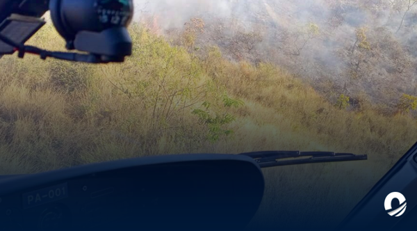 Autoridades desplegaron operativo contra incendios del Parque Henri Pittier