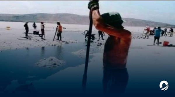 Trabajadores artesanales de la sal Araya