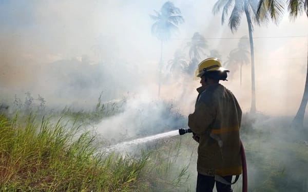 Incendios Sucre Zoedan