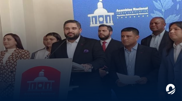 Propuesta de elecciones se consignará ante la AN la próxima semana