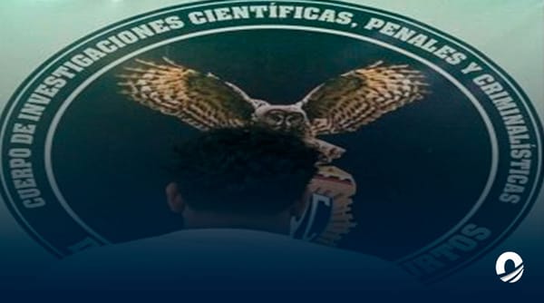 Detenido hurtos comercios Cumaná