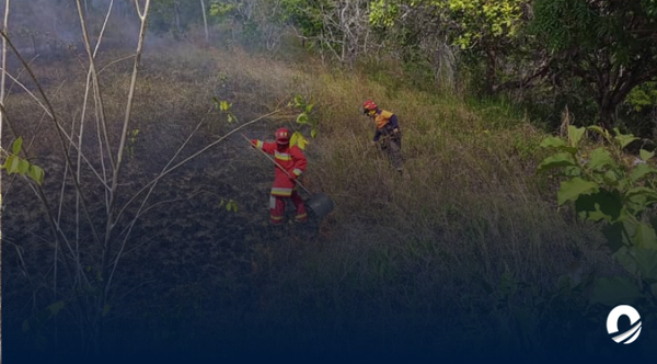 Monagas | Incendios forestales azotaron el municipio Punceres en Monagas