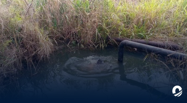 Anzoátegui |Habitantes de Bella Vista denunciaron no contar con servicio de agua potable