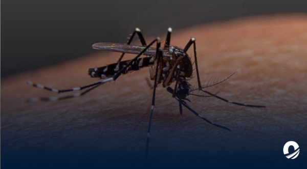 Río de Janeiro declaró epidemia de dengue