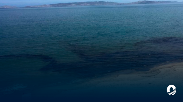 ANZOÁTEGUI | Alcaldía de Lechería alertó posible presencia de hidrocarburos en Playa Lido