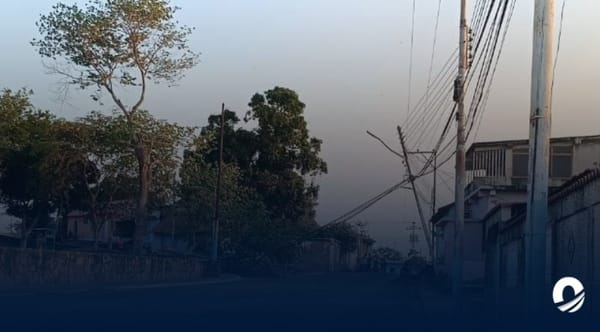ANZOÁTEGUI | 180 familias en el municipio Bruzual sufrieron apagón por la caída de un árbol