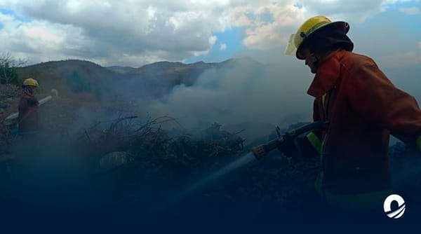 Bermúdez incendios forestales