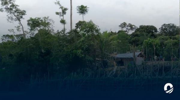 Casos de malaria Gran Sabana