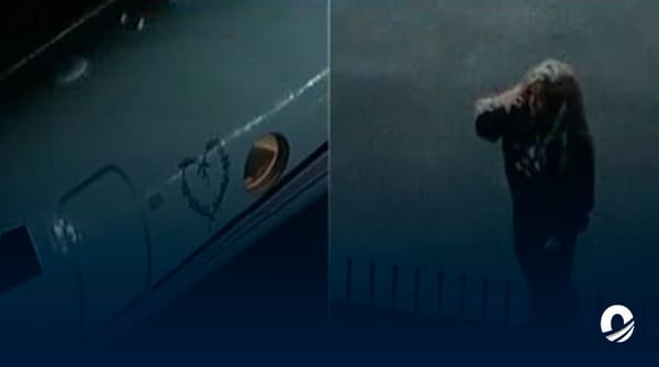 Karol G avión accidente