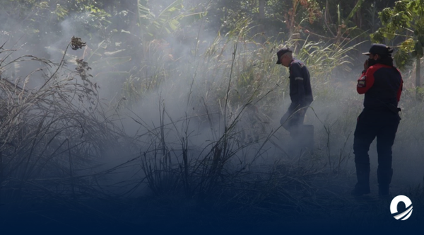 MONAGAS | Brigadas contra incendios forestales serán creadas en Monagas