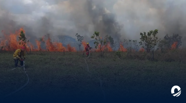 MONAGAS | Incendio forestal consumió áreas verdes cercanas al Polideportivo y Aeropuerto de Maturín