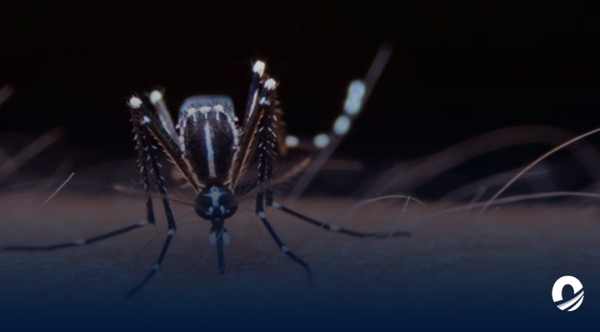 Guatemala alertó sobre epidemia nacional de dengue