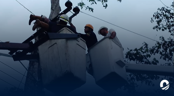 Entrenador de béisbol carabobeño muere electrocuado en el municipio Bejuma