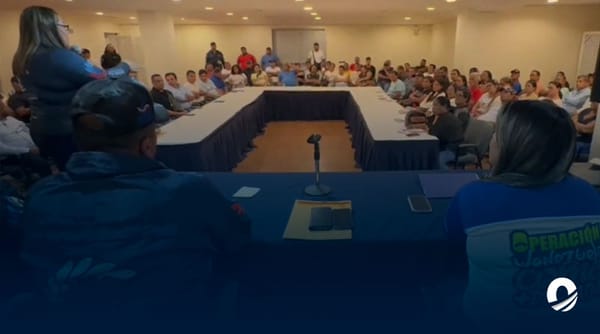 Sardinas nuevo costo 2024