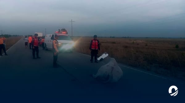 Tres hombres resultaron heridos tras impactar su carro contra una vaca