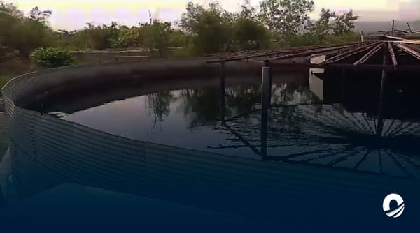 Campeche contaminación agua