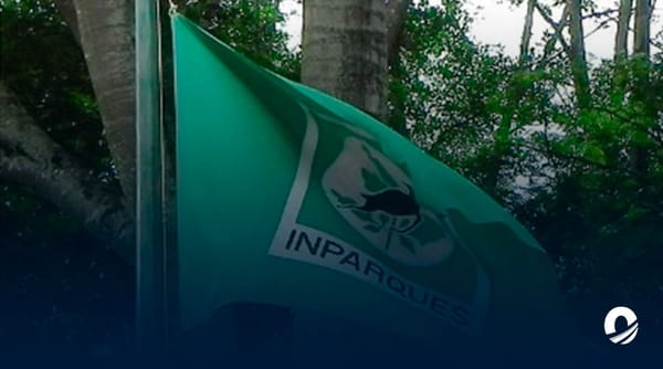 Inparques animales huida