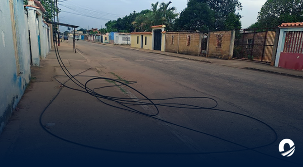 Anzoátegui | Habitantes de la calle 13 sur de El Tigre reportaron caída de cable de Cantv