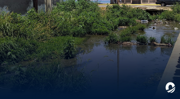 SUCRE | Desde hace 20 años habitantes de Caigüire se ven afectados por aguas negras