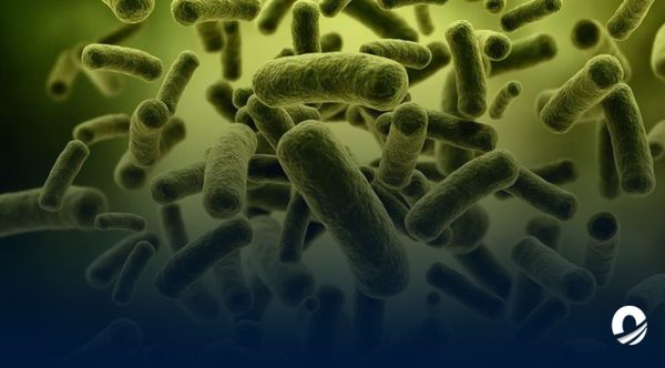 OMS alertó repunte de casos de cólera a nivel mundial