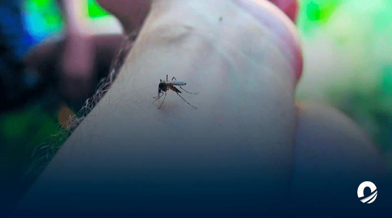 Guatemala declaró emergencia nacional por epidemia de dengue
