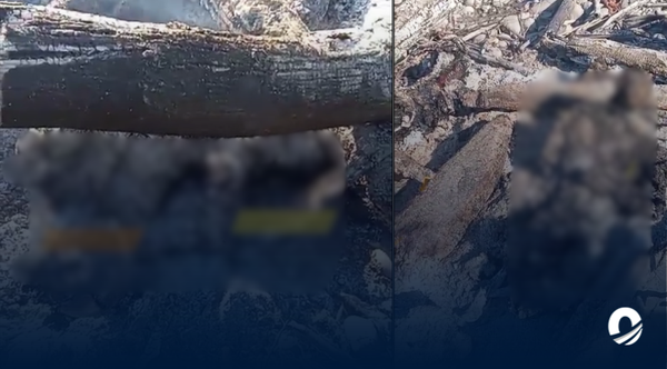 Venezolanos acusados de asesinar a unos adolescentes fueron quemados vivos en Perú