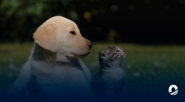 Misión Nevado jornada Cumaná junio