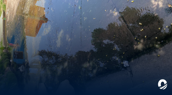 SUCRE | Vecinos de El Dique denunciaron severos botes de aguas servidas