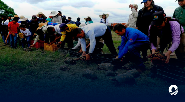 Más de mil animales han sido liberados en Venezuela