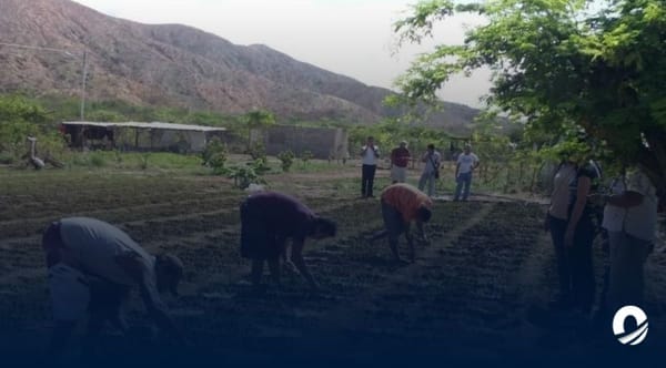 SUCRE | Gremio agricultor demandó mejores condiciones para la siembra segura en oriente