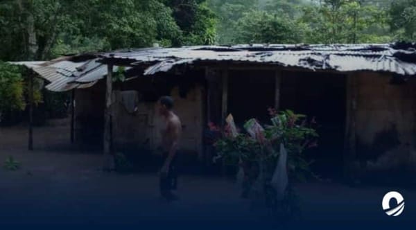 Familias de San Pedro y Vega Grande quedaron damnificadas tras intensas lluvias