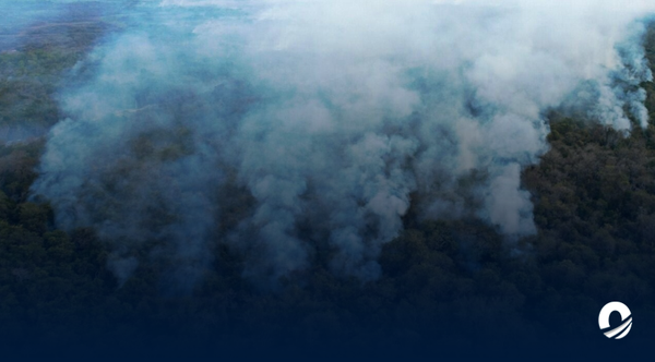 Decretaron alerta máxima en 34 ciudades de Brasil por incendios forestales 