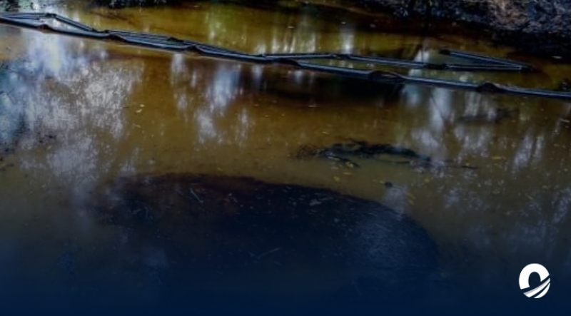 ANZOÁTEGUI | Suspendido suministro de agua en El Pao por derrame de crudo