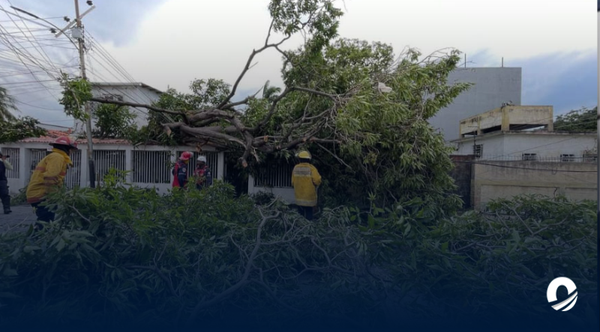 Anzoátegui | Temporal causó afectaciones en el norte de Anzoátegui