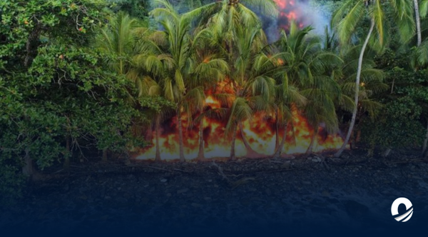 Desmantelado campamento ilegal que operaba en costas sucrenses