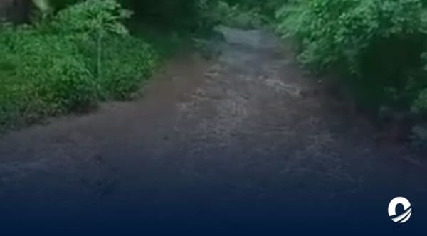 Inundaciones Nueva Esparta lluvias