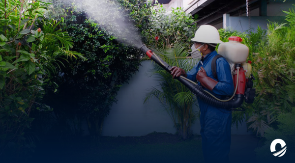 ANZOÁTEGUI | Residentes solicitaron jornada de fumigación por casos de dengue