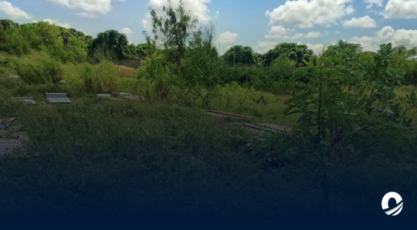 ANZOÁTEGUI | Propietarios de parcelas en el cementerio Parque Los Jardines denunciaron estado de abandono