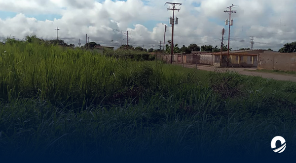 Anzoátegui | Habitantes de Villa Hermosa claman desmalezamiento y limpieza de la zona