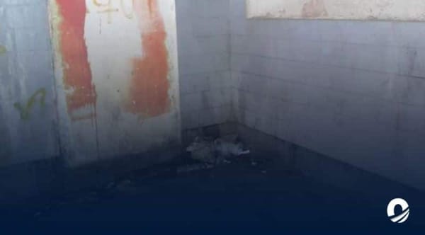Porlamar Banco Mercantil sede abandono