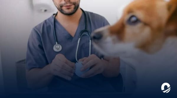 Venezuela medicamentos veterinarios