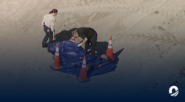 Hallaron una cabeza humana en una playa al sur de Florida