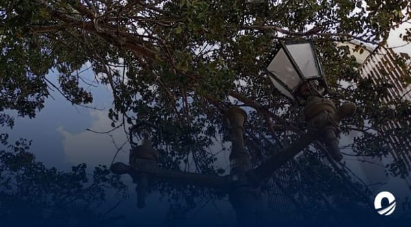 Araya plaza Bolívar alumbrado público
